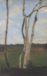 Birch Trunks in Front of Landscape